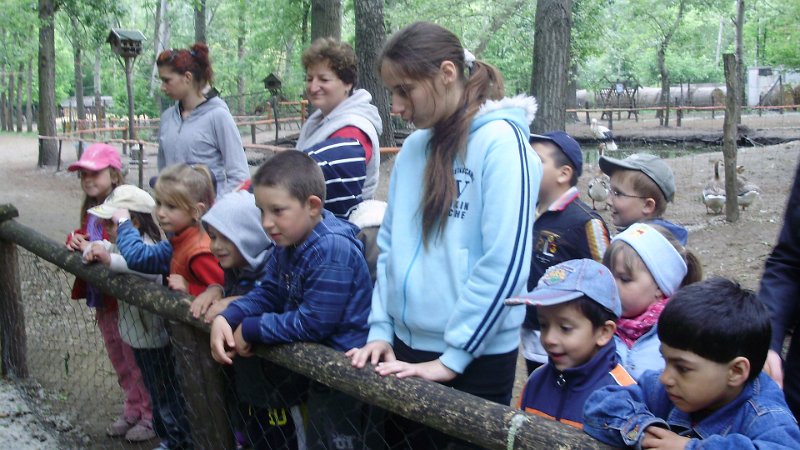 2011 05 02 Vadaspark 024.jpg